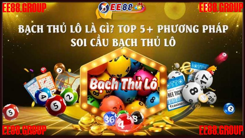 Bạch thủ lô là gì?